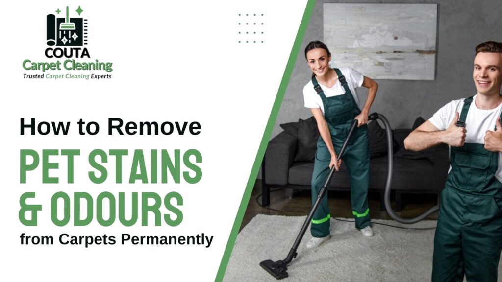 How to Remove Pet Stains and Odours from Carpets Permanently